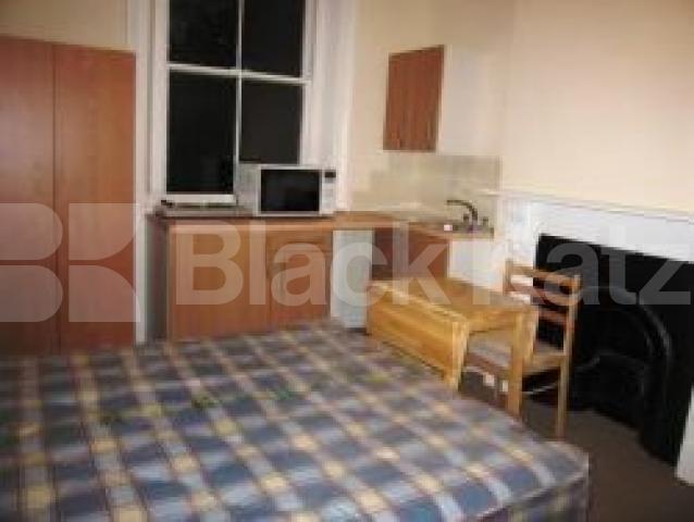 			Studio Apartment, 1 bath, 1 reception Flat			 Mansfield Road, Hampstead Heath